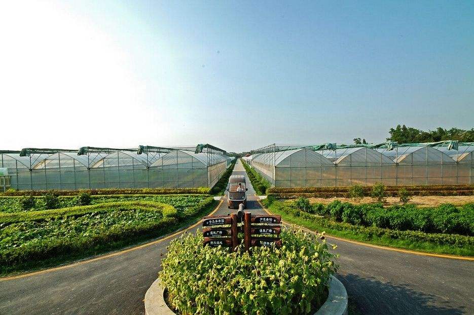 品牌策劃 | 觀光休閑農(nóng)業(yè)旅游項目策劃，告訴你如何經(jīng)營農(nóng)場！