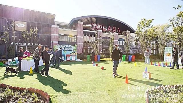 社區(qū)活動|朝陽483個社區(qū)舉辦鄰里節(jié)，活動各式各樣、精彩紛呈